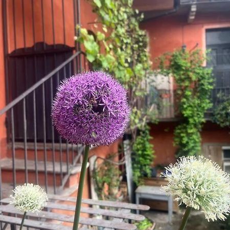 Come A Casa Castelletto sopra Ticino Eksteriør bilde