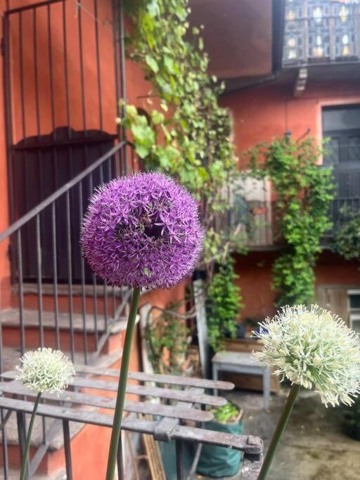 Come A Casa Castelletto sopra Ticino Eksteriør bilde